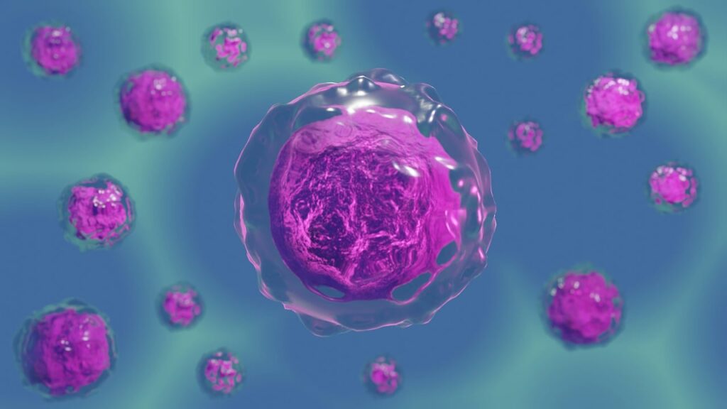 human-cell-illustration An illustration of a cell in the human body